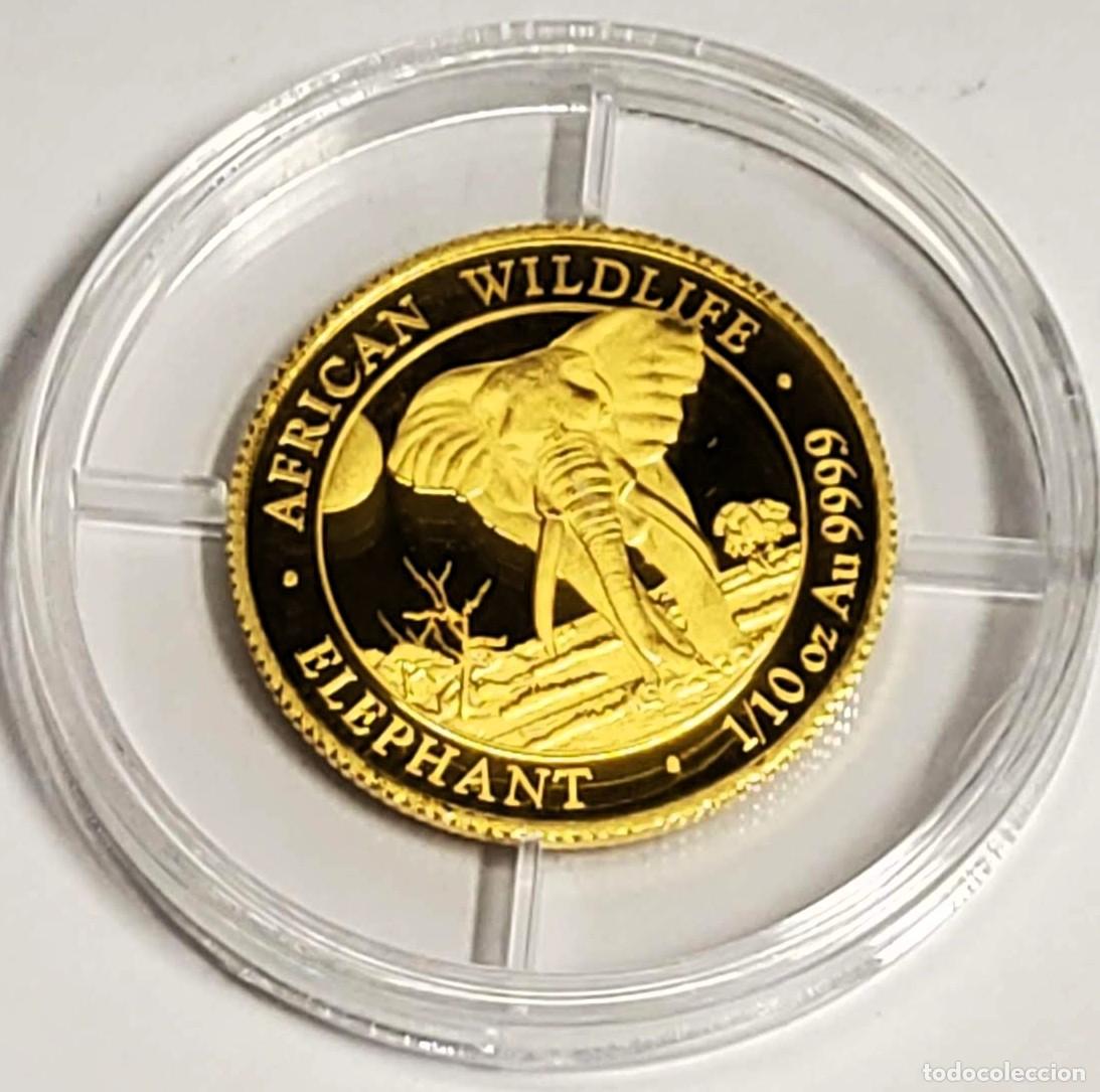 Monedas antiguas de &Aacute;frica: 100 CHELINES DE ORO DE SOMALIA DEL A&Ntilde;O 2025.ORO PURO DE LEY 999.PROOF.