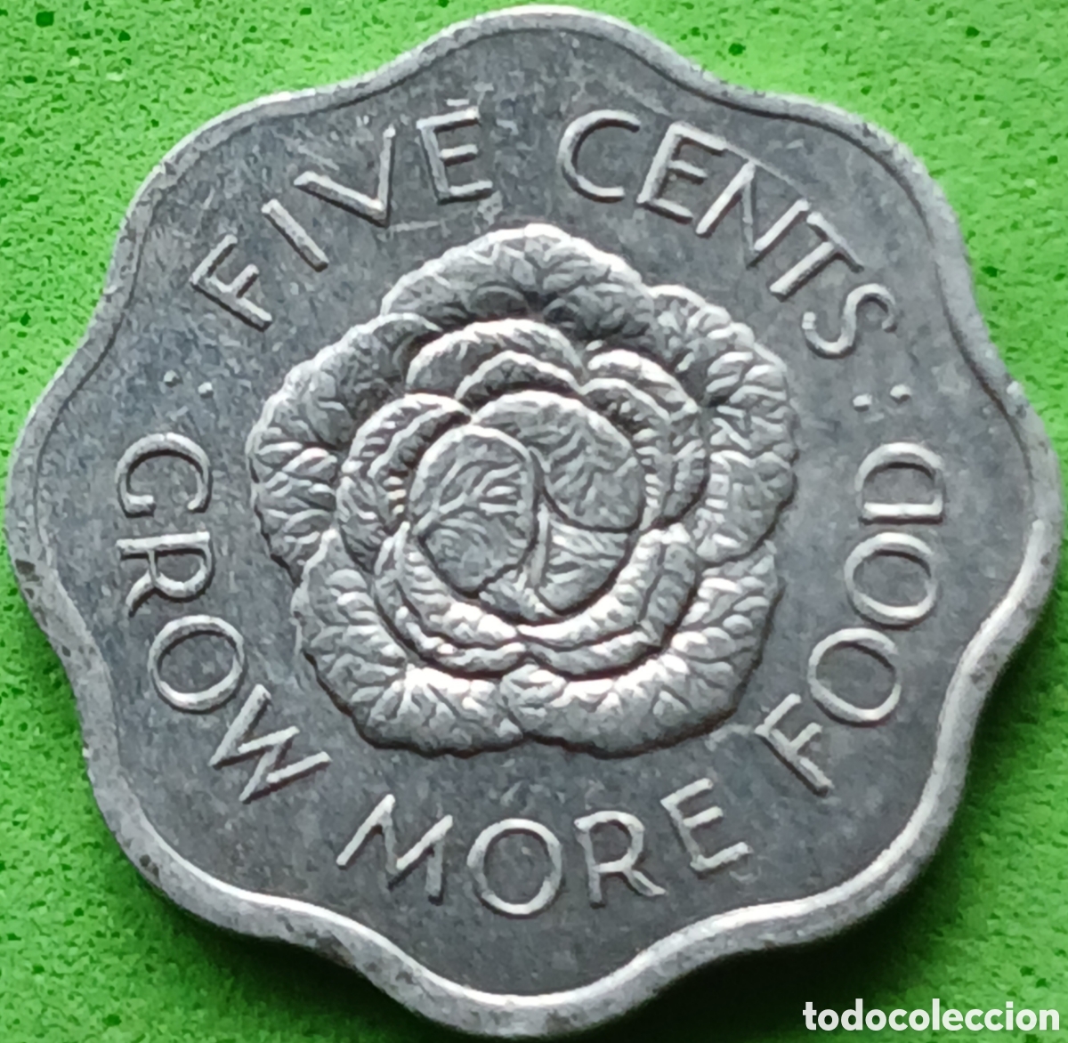 Monedas antiguas de &Aacute;frica: Seychelles five cents 1972 km#17 FAO