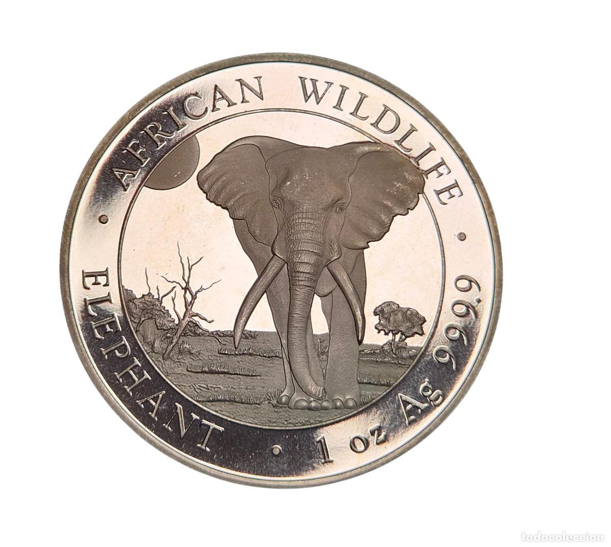 Monedas antiguas de &Aacute;frica: REPUBLICA DE SOMALIA. 100 SHILLINGS. ELEFANTE. 1 ONZA TROY PLATA. Ag / A&ntilde;o 2025