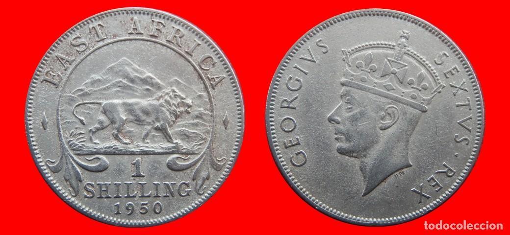 Monedas antiguas de &Aacute;frica: 1 CHELIN SHILLING 1950 AFRICA ORIENTAL-156539