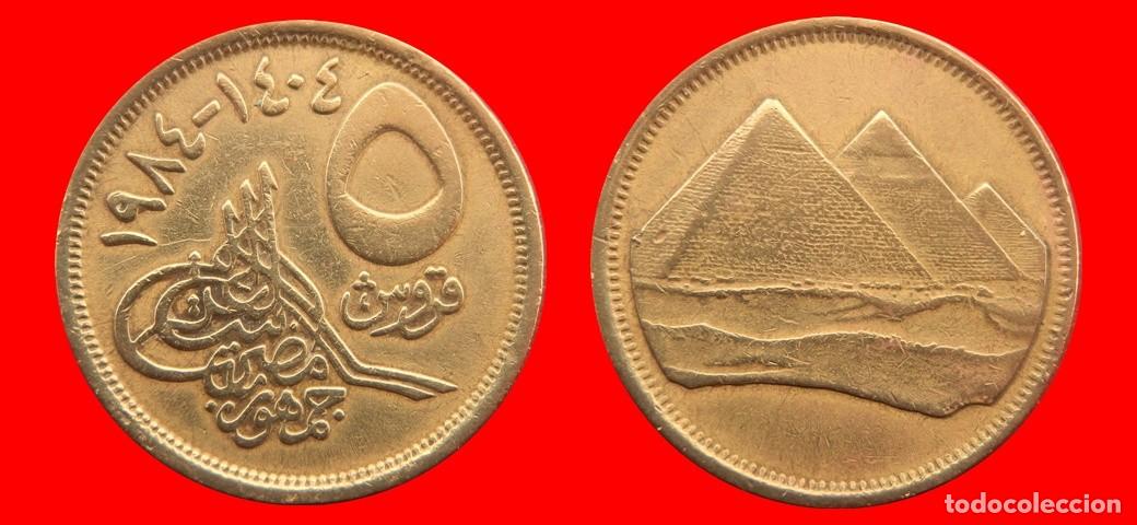 Monedas antiguas de &Aacute;frica: 5 PIASTRAS 1984 EGIPTO-156635