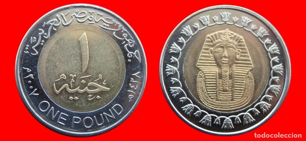 Monedas antiguas de &Aacute;frica: 1 LIBRA POUND 2007 EGIPTO-156648