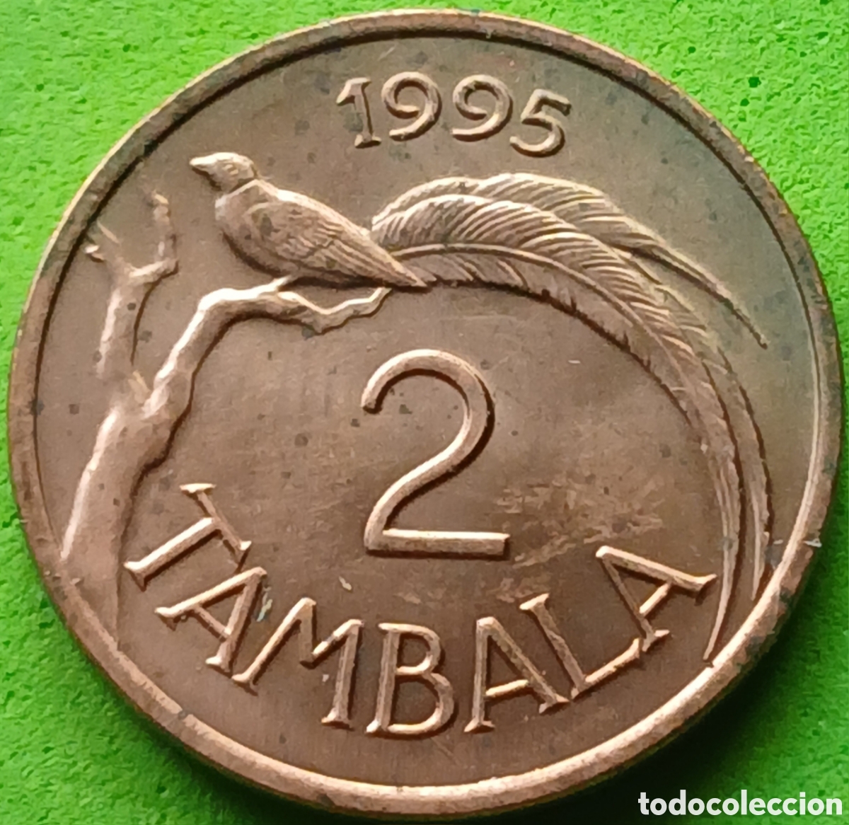 Monnaies anciennes d'Afrique: Malawi 2 tambala 1995 km#34 no magn&eacute;tica