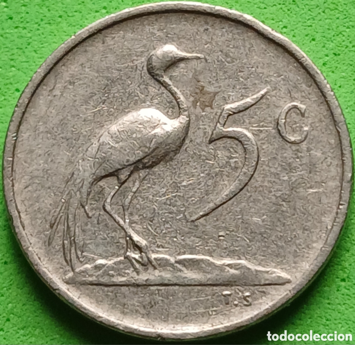 Old Coins of Africa: Suid &Aacute;frika 5 cents 1970 km#84