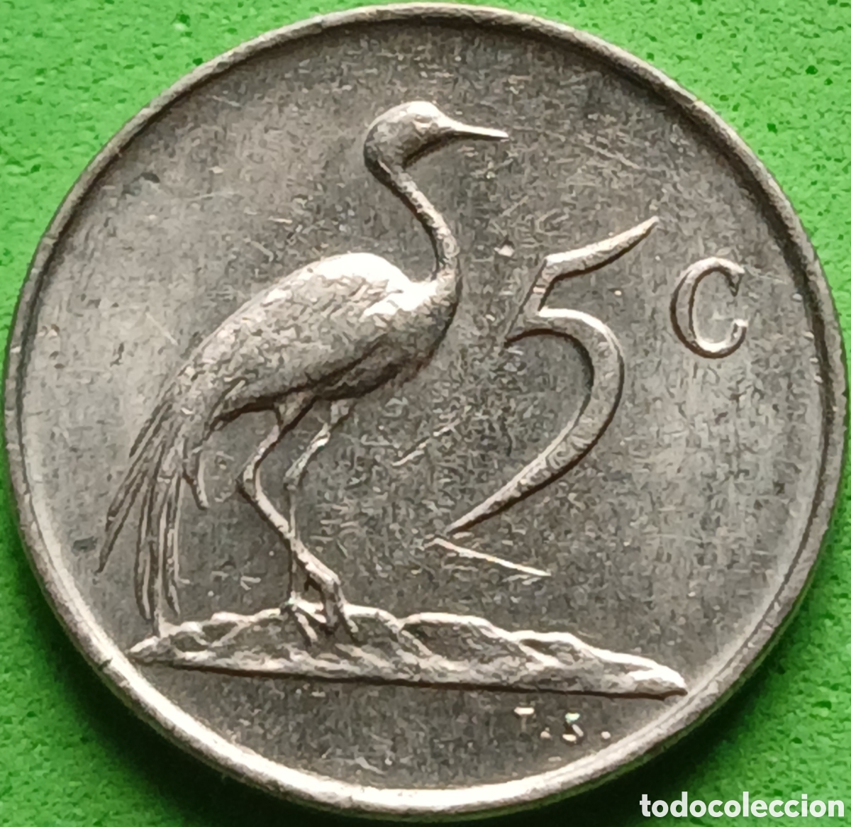 Old Coins of Africa: Suid &Aacute;frika 5 cents 1983 km#84