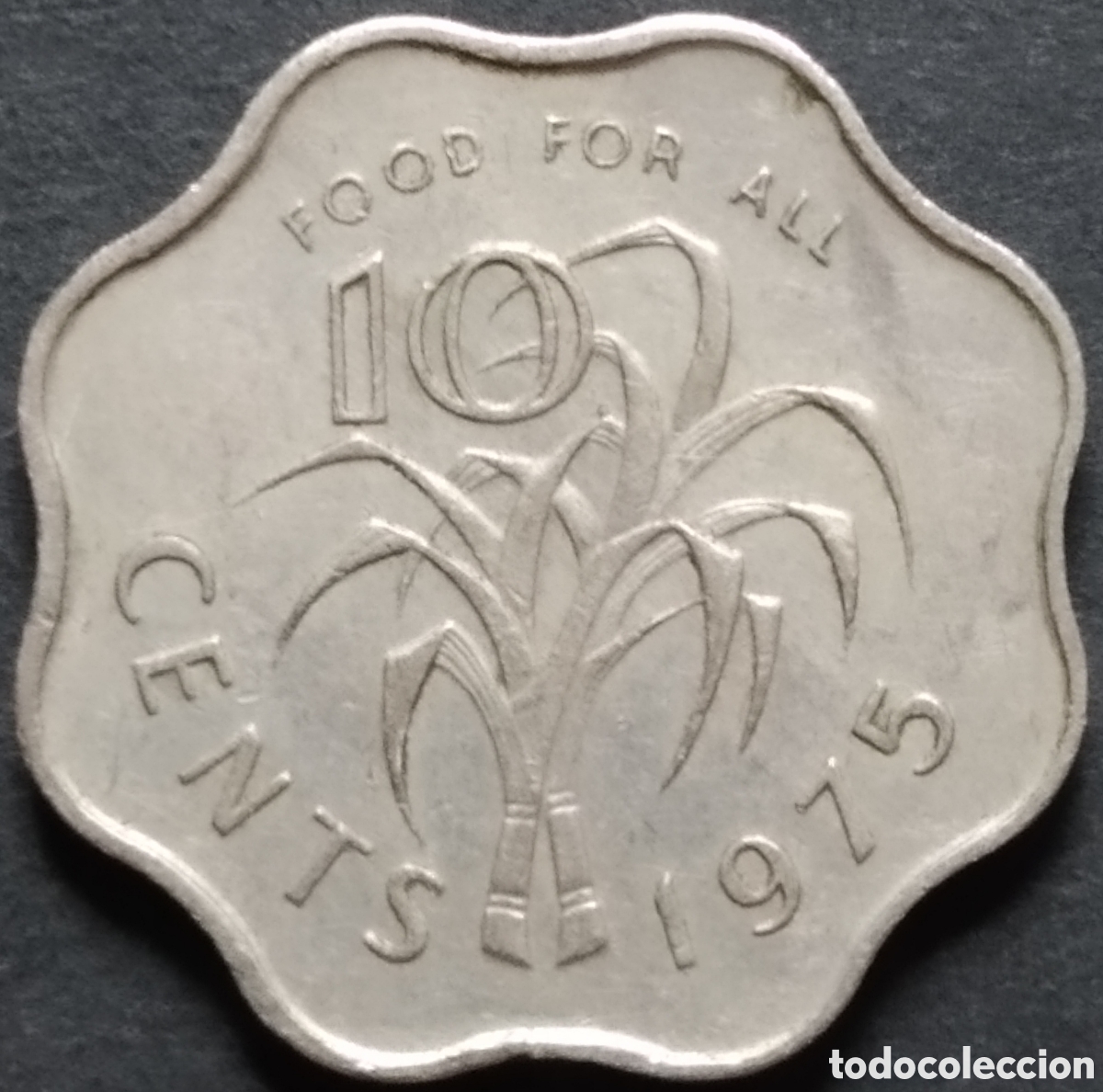 Monete antiche di Africa: MONEDA - SWAZILANDIA / ESUATINI CONMEMORATIVA 10 CENTS 1975 - FAO, ALIMENTOS PARA TODOS