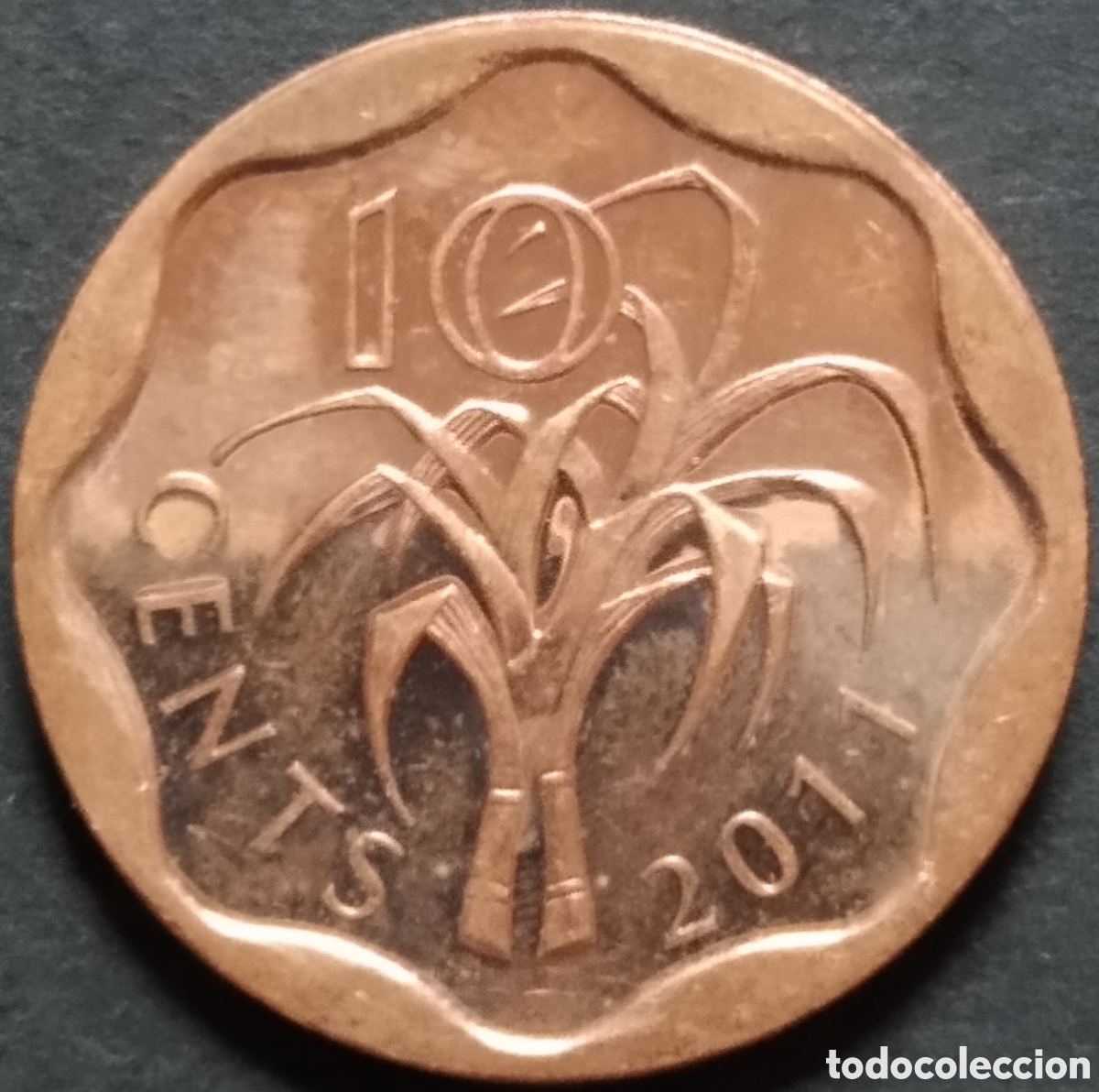 Monete antiche di Africa: MONEDA - SWAZILANDIA / ESUATINI 10 CENTS 2011