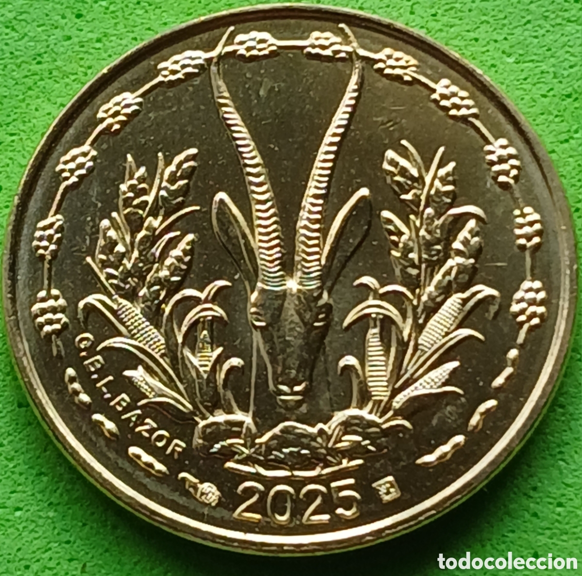Monedas antiguas de &Aacute;frica: &Aacute;frica Occidental ( BCEAO) 5 francos 2025 km#2a RARA (R) !!
