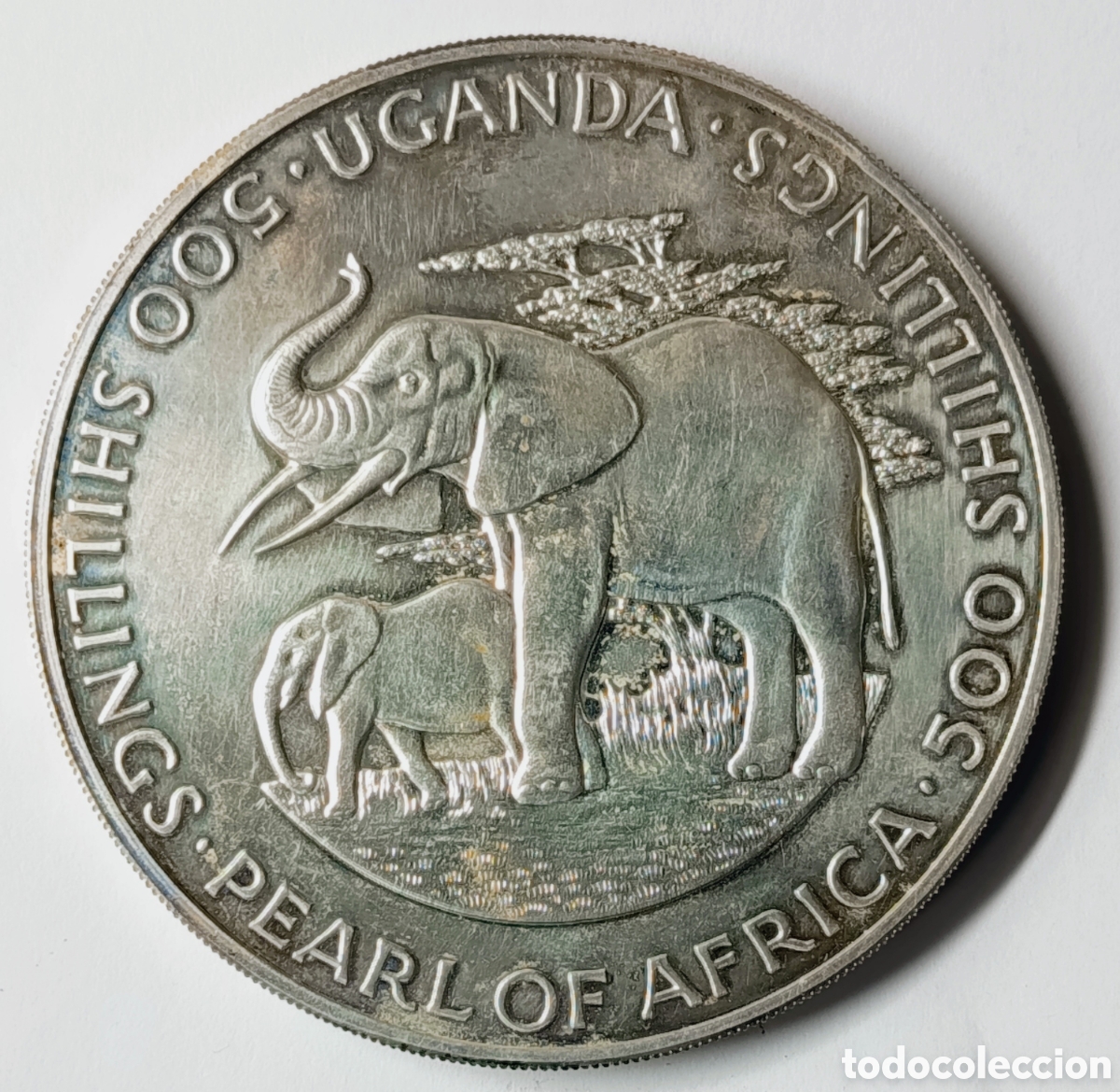 Monedas antiguas de &Aacute;frica: UGANDA. 500 SHILLINGS. 1981. PLATA. ,500 (2,1862 oz.) 136 GRAMOS. MUY RARA: SOLO 700 PIEZAS!!!!!