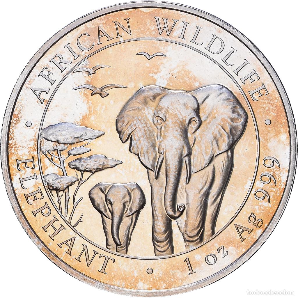 Monedas antiguas de &Aacute;frica: [#1552609] Somalia, 100 Shillings, African Wildlife, Elephant, 2015, 1 Oz, Proof, Plata