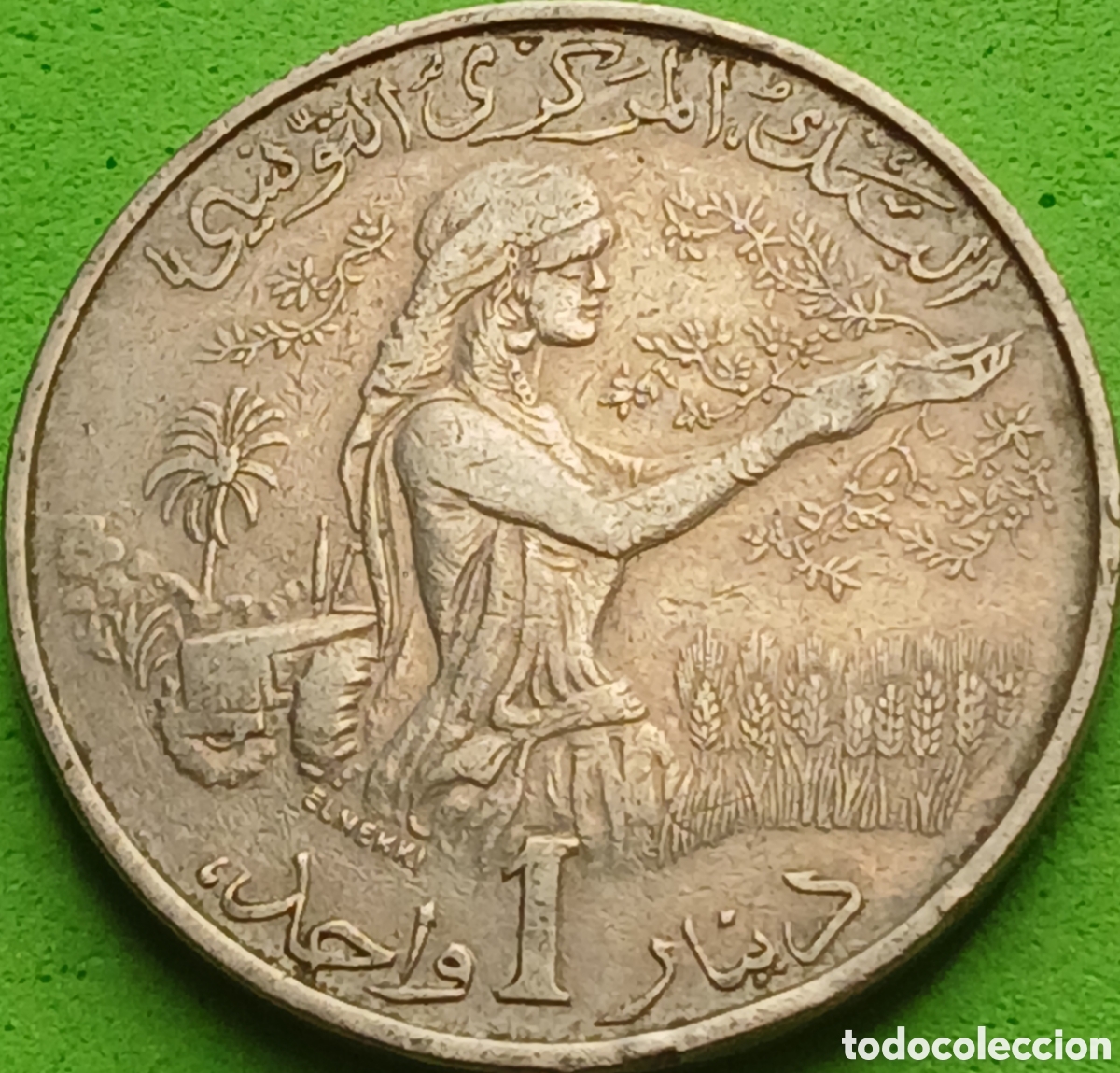 Monedas antiguas de &Aacute;frica: T&uacute;nez 1 dinar 1983 km#304