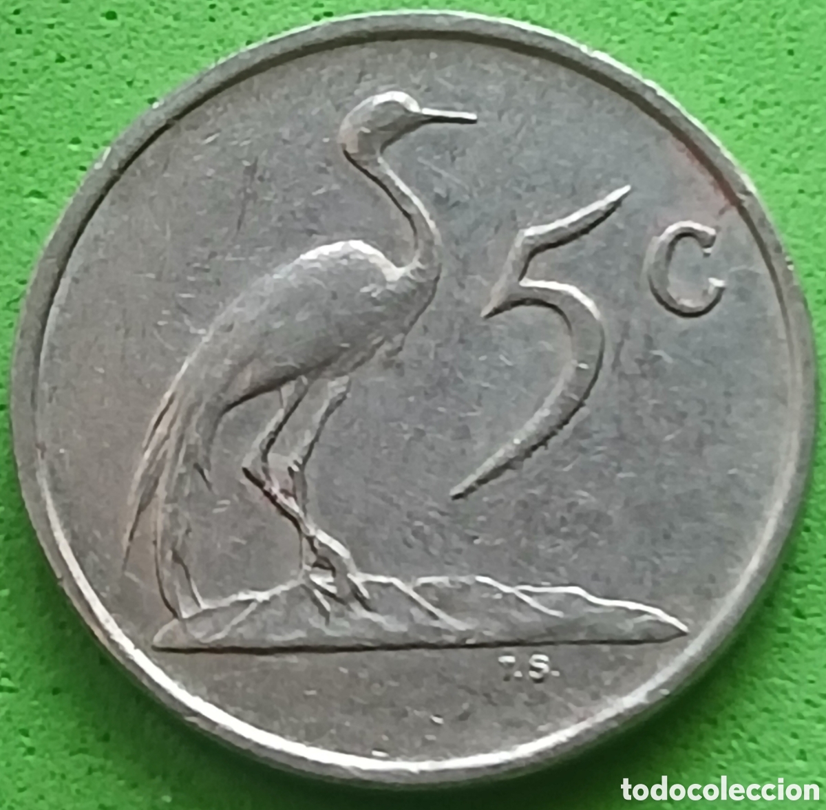 Monedas antiguas de &Aacute;frica: Suid &Aacute;frika 5 cents 1986 km#84