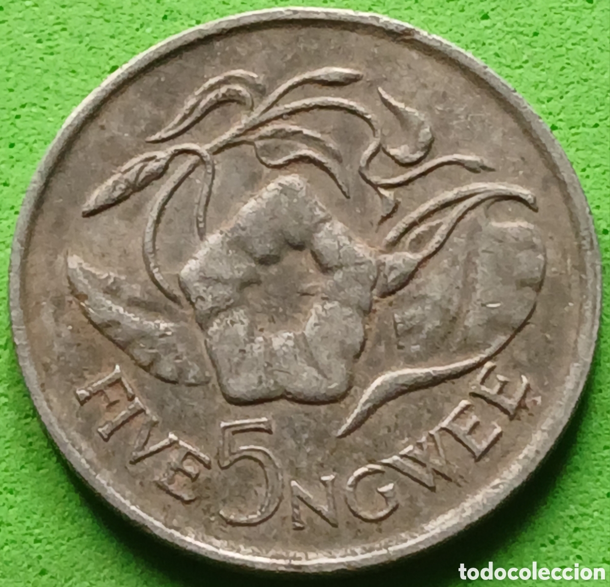 Monedas antiguas de &Aacute;frica: Zambia five ngwee 1987 km#11