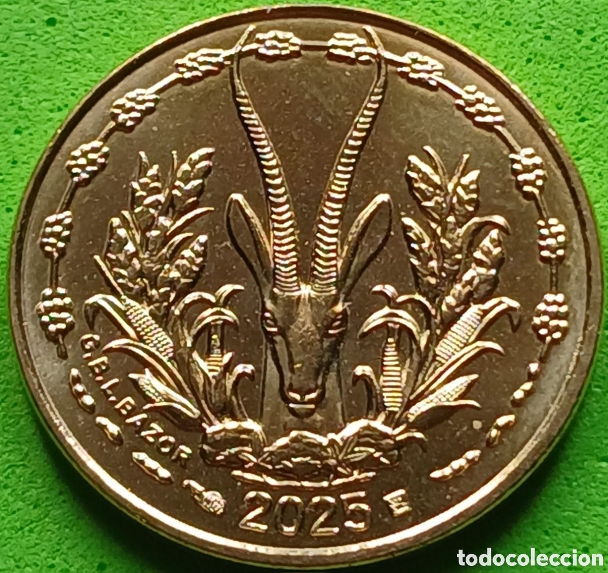 Monedas antiguas de &Aacute;frica: &Aacute;frica Occidental (BCEAO) 5 francos 2025 km#2a RARA (R) !!