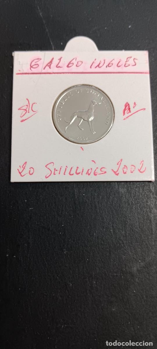 Monedas antiguas de &Aacute;frica: SOMALILANDIA 20 SHILLINGS 2002 S/C KM=6 (ACERO) GALGO INGLES