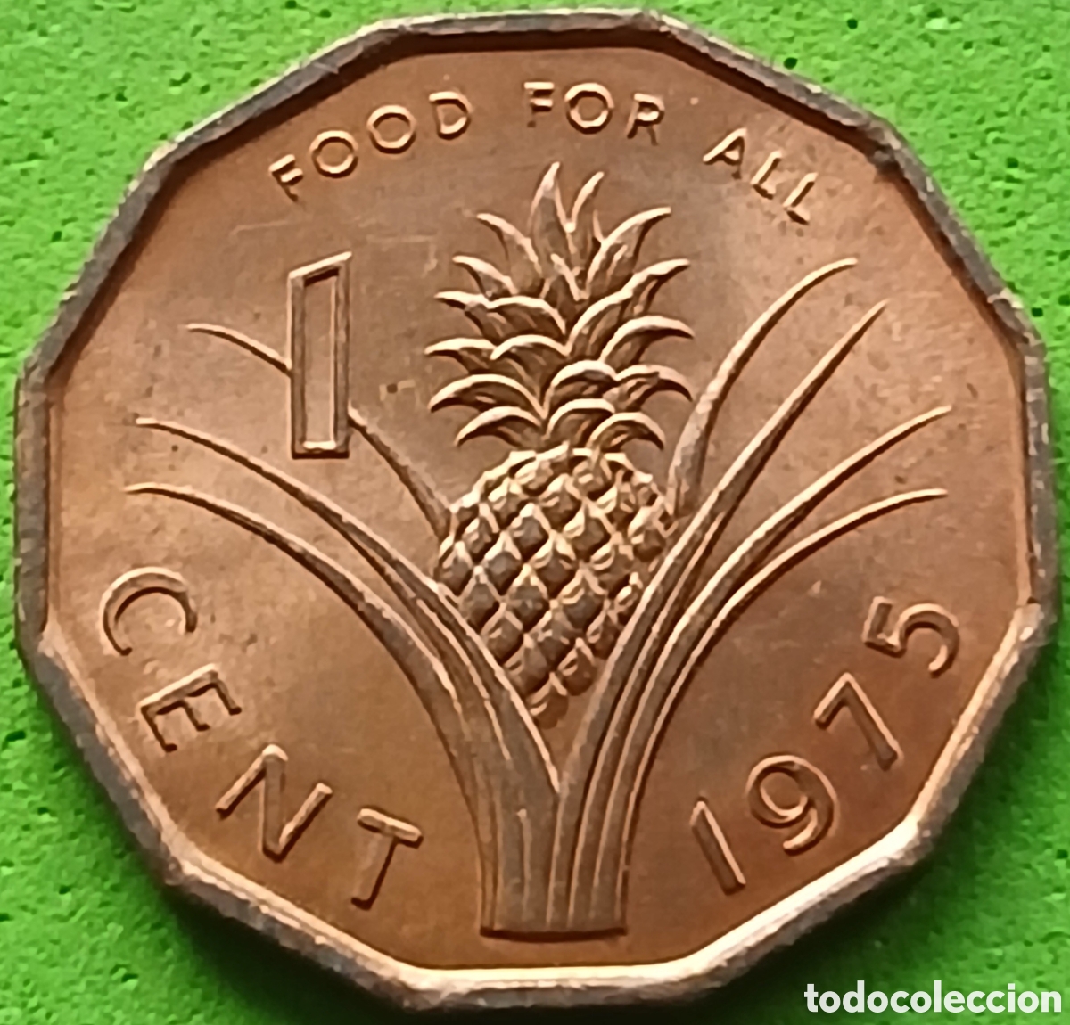 Old Coins of Africa: Esuatini ( Swazilandia) 1 cent 1975 km#21 FAO