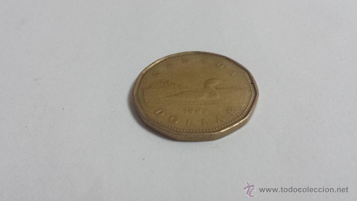 Monedas antiguas de Am&eacute;rica: MONEDA DE 1 D&Oacute;LAR 1988 CANADA - Foto 1