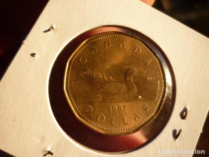 Monedas antiguas de Am&eacute;rica: CANADA, 1 dolar 1987 - Foto 2