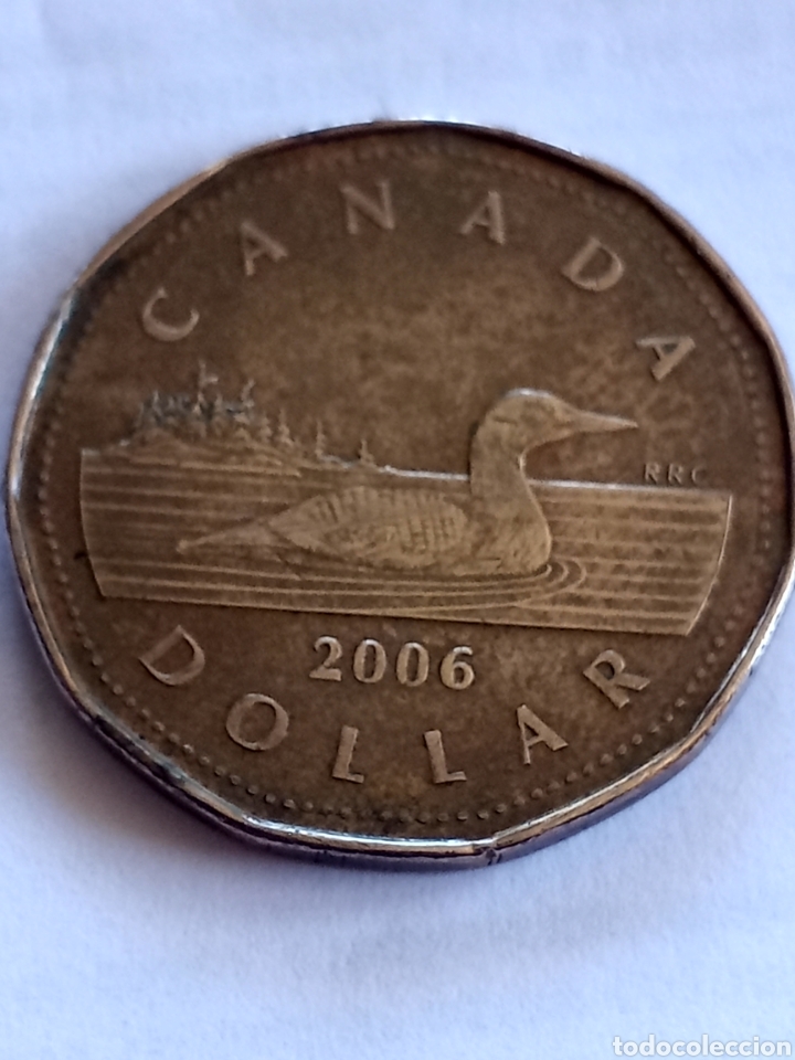 Un D lar Canadiense Preciosa Moneda De 2006 Vendido En Subasta