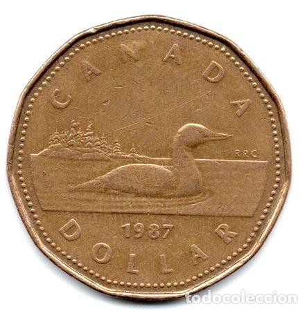Monedas antiguas de Am&eacute;rica: canada moneda 1 dolar ano 1987 km157 - Foto 1