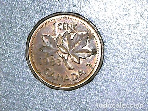 Monedas antiguas de Am&eacute;rica: canada moneda de 1 cent 1983 km 132 - Foto 1
