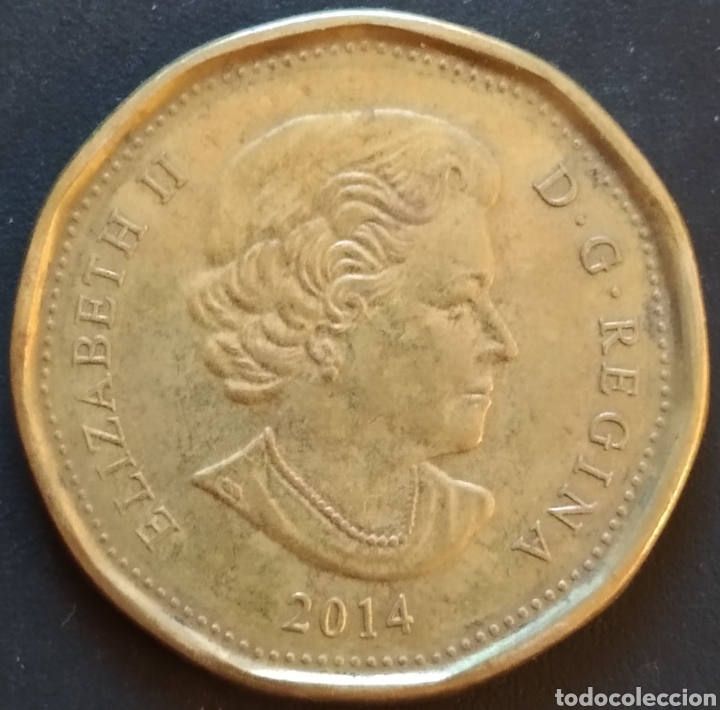 Monedas antiguas de Am&eacute;rica: MONEDA - CANADA 1 DOLLAR 2014 - Foto 2