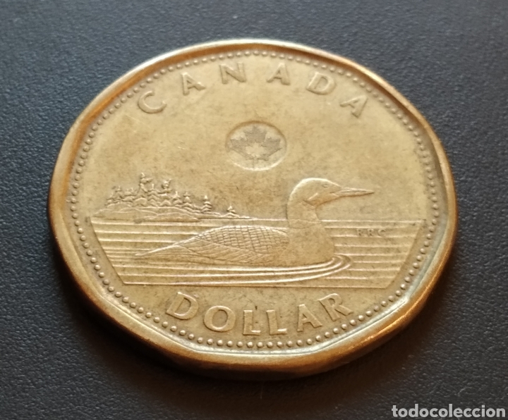 Monedas antiguas de Am&eacute;rica: MONEDA - CANADA 1 DOLLAR 2014 - Foto 3