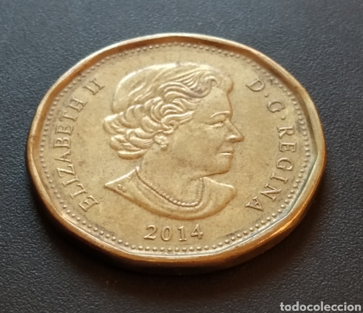 Monedas antiguas de Am&eacute;rica: MONEDA - CANADA 1 DOLLAR 2014 - Foto 4