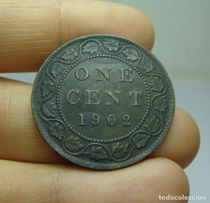 Monedas antiguas de Am&eacute;rica: 1 C&eacute;ntimo. Canad&aacute; 1902 - Foto 2