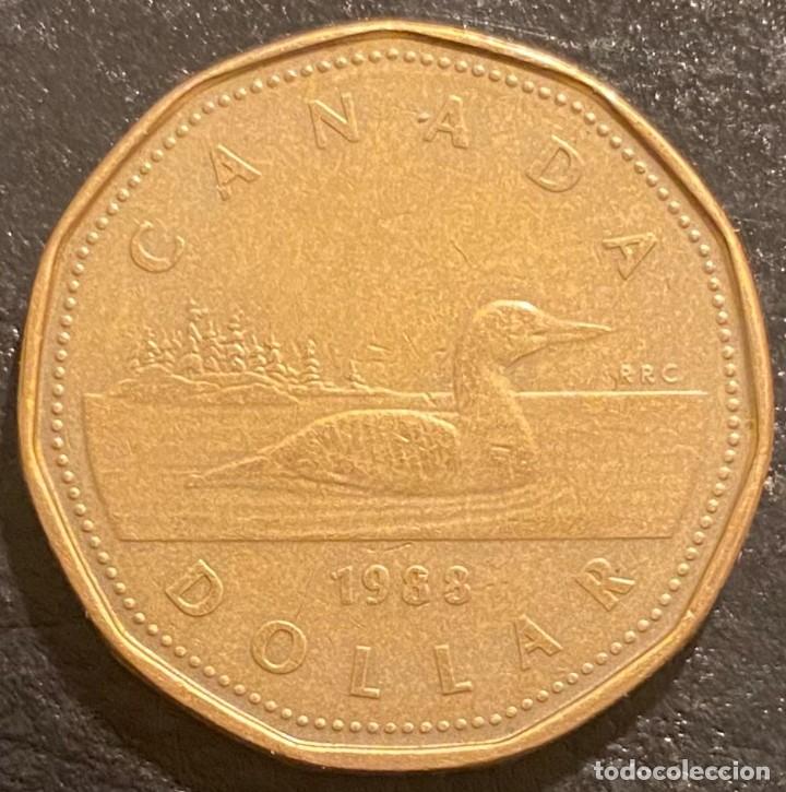 Monedas antiguas de Am&eacute;rica: CANADA 1 DOLLAR 1988 - Foto 2