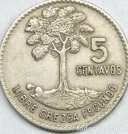 Monedas antiguas de Am&eacute;rica: moneda 5 centavos guatemala 1965 - Foto 1
