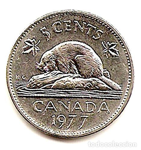 Monedas antiguas de Am&eacute;rica: moneda canada de 5 centavos five cents ano 1977 - Foto 1