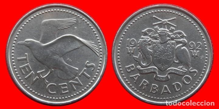 Monedas antiguas de Am&eacute;rica: 10 CENTAVOS 1992 BARBADOS-72359 - Foto 1