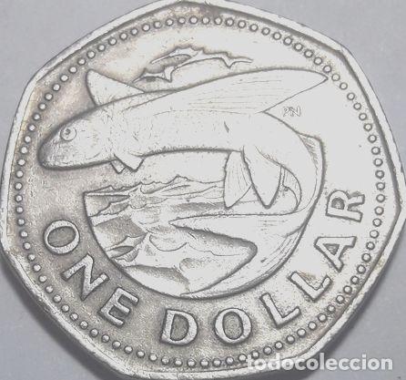 Monedas antiguas de Am&eacute;rica: moneda barbados 1973 one dolar - Foto 1