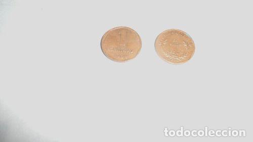 Monedas antiguas de Am&eacute;rica: moneda argentina 1 centavo 1999 - Foto 1