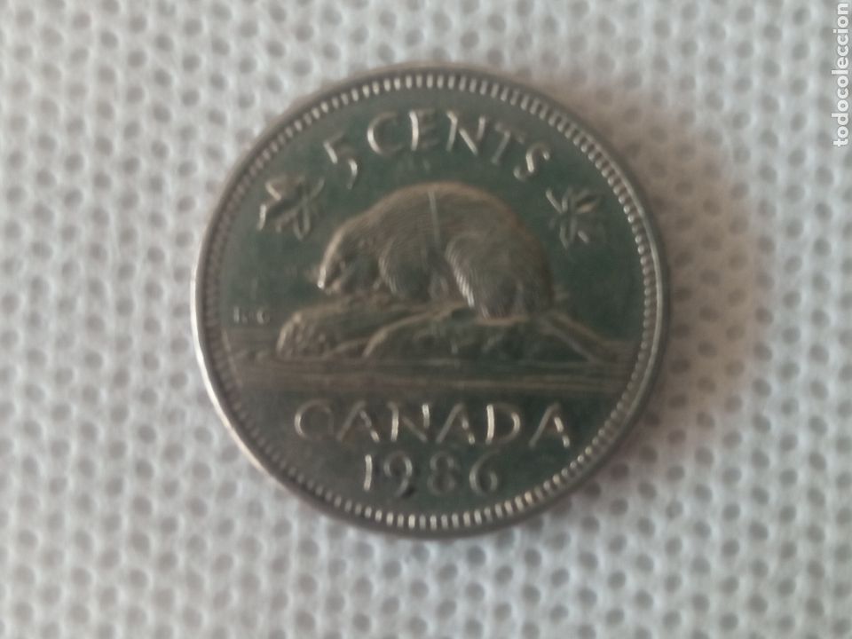 Monedas antiguas de Am&eacute;rica: Canad&aacute; moneda 5 centavos 1986 - Foto 2