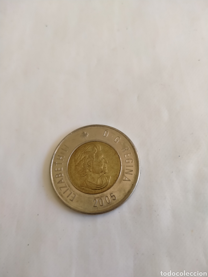 Monedas antiguas de Am&eacute;rica: Moneda canadiense 2 d&oacute;lares 2005 - Foto 1