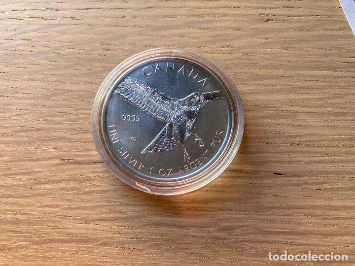 Monedas antiguas de Am&eacute;rica: CANADA 2015 5$ HALCON DE COLA ROJA VIDA SILVESTRE WILDLIFE 1 OZ
