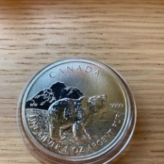 Monedas antiguas de América: CANADA 2011 5$ OSO VIDA SILVESTRE WILDLIFE 1 OZ. Lote 351287024