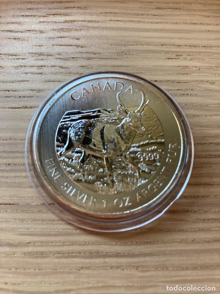 Monedas antiguas de Am&eacute;rica: Canada 2013 5$ Antilope Vida silvestre Wildlife 1 oz