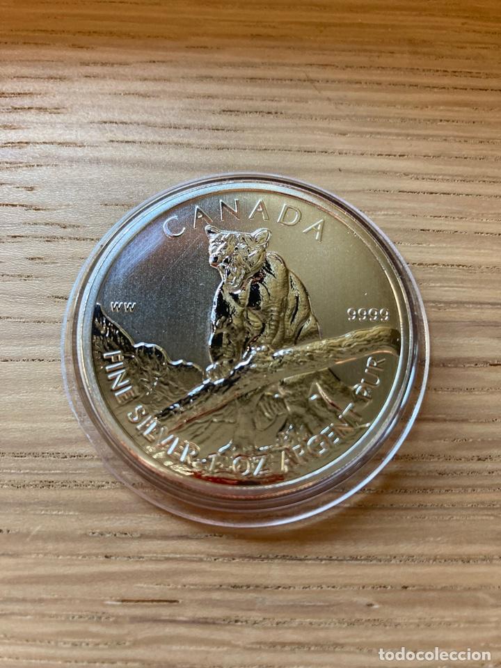 Monedas antiguas de Am&eacute;rica: Canada 2012 5$ Puma Vida silvestre Wildlife 1 oz