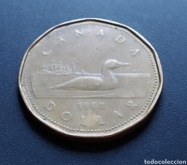 Monedas antiguas de Am&eacute;rica: MONEDA - CANADA 1 DOLLAR 1988 - Foto 3