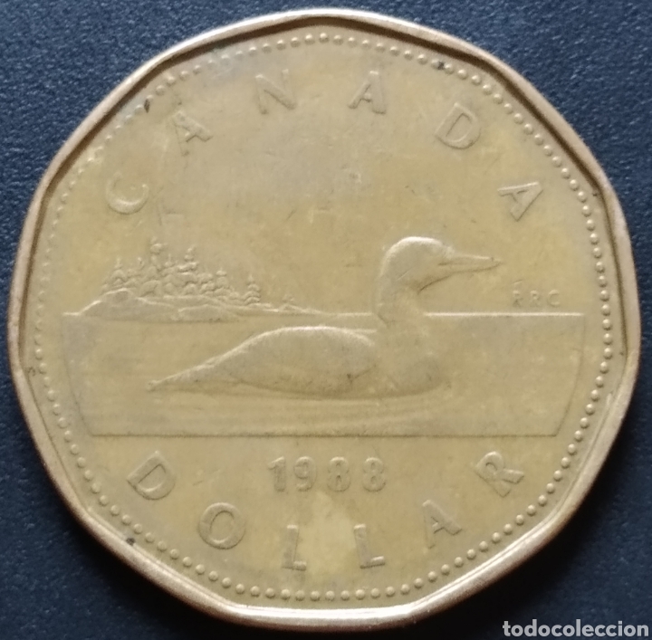 Monedas antiguas de Am&eacute;rica: MONEDA - CANADA 1 DOLLAR 1988 - Foto 1