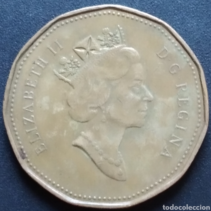 Monedas antiguas de Am&eacute;rica: MONEDA - CANADA 1 DOLLAR 1995 - Foto 2