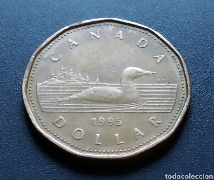Monedas antiguas de Am&eacute;rica: MONEDA - CANADA 1 DOLLAR 1995 - Foto 3
