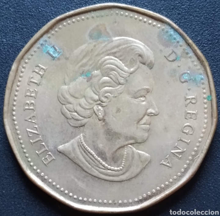 Monedas antiguas de Am&eacute;rica: MONEDA - CANADA 1 DOLLAR 2005 - Foto 2