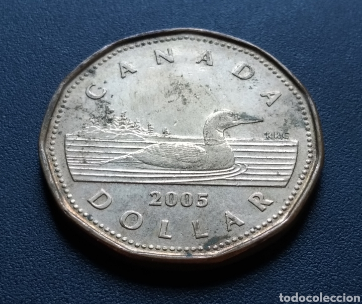 Monedas antiguas de Am&eacute;rica: MONEDA - CANADA 1 DOLLAR 2005 - Foto 3