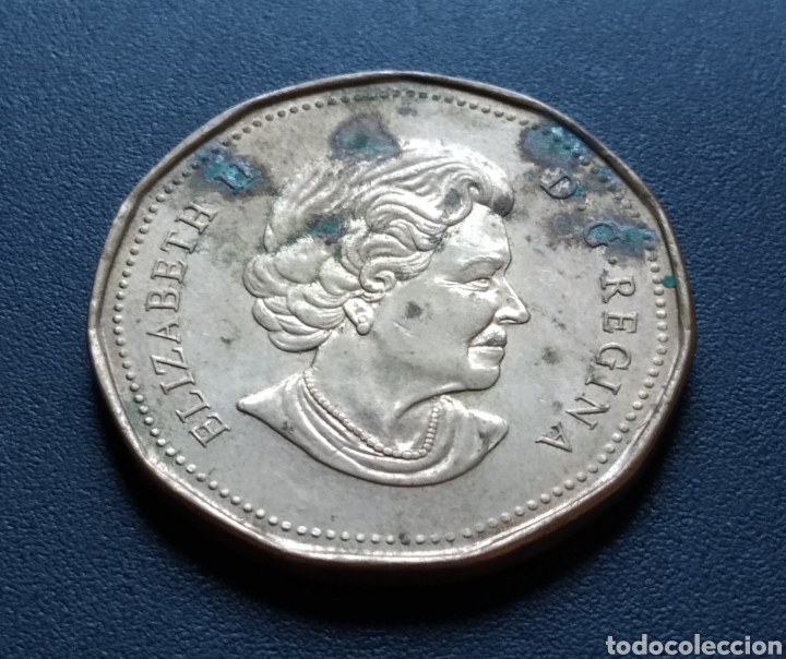 Monedas antiguas de Am&eacute;rica: MONEDA - CANADA 1 DOLLAR 2005 - Foto 4