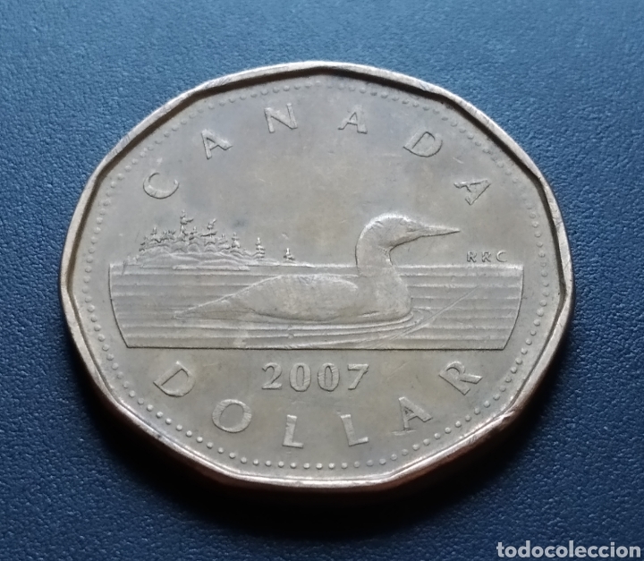 Monedas antiguas de Am&eacute;rica: MONEDA - CANADA 1 DOLLAR 2007 - Foto 3