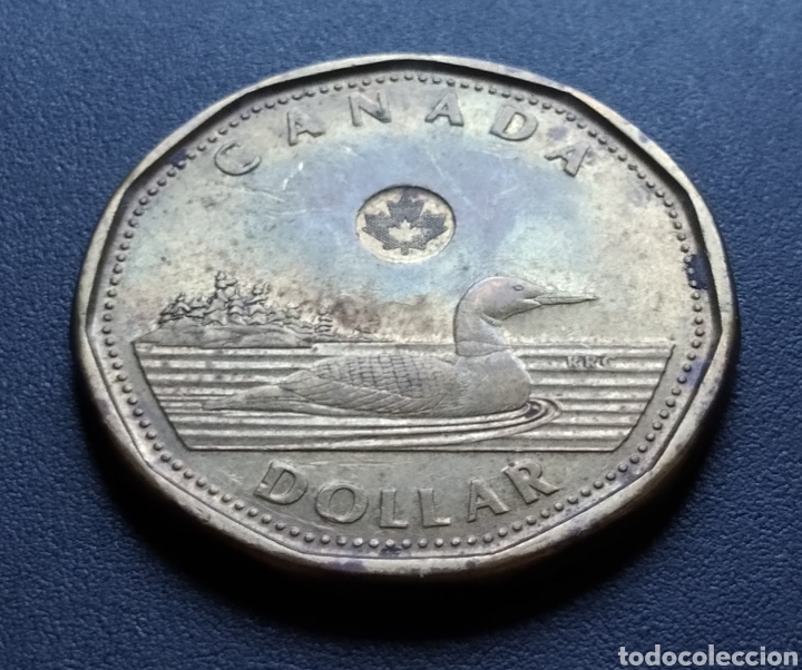 Monedas antiguas de Am&eacute;rica: MONEDA - CANADA 1 DOLLAR 2012 - Foto 3